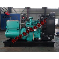 4B3.9-G11康明斯動力配套20KW柴油發(fā)電機組