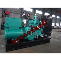 4B3.9-G1康明斯動力配套20KW柴油發(fā)電機組